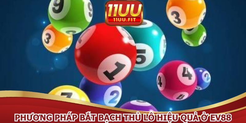 Những phương pháp bắt bạch thủ lô hiệu quả