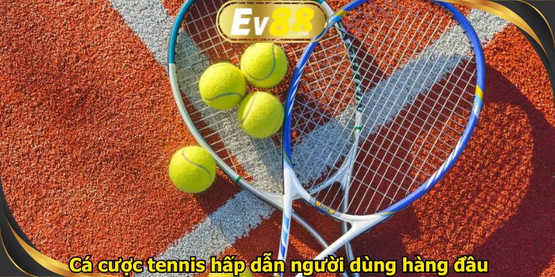 Cá cược tennis hấp dẫn người dùng hàng đầu