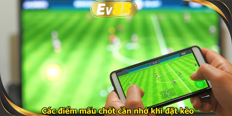 Các điểm mấu chốt cần nhớ khi đặt kèo