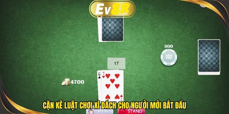 Cặn kẽ luật chơi xì dách cho người mới bắt đầu