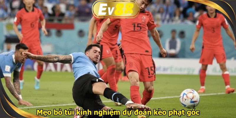 Mẹo bỏ túi kinh nghiệm dự đoán kèo phạt góc