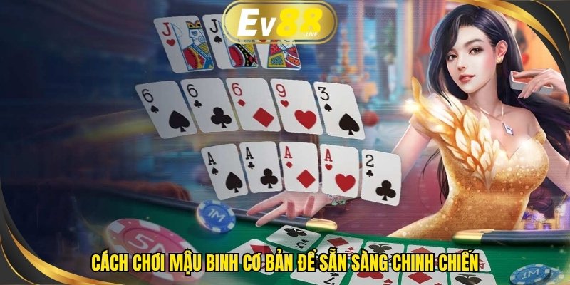 Cách chơi Mậu Binh cơ bản để sẵn sàng chinh chiến