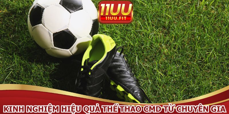 Kinh nghiệm hiệu quả thể thao CMD từ chuyên gia