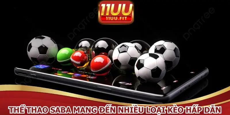 Thể thao SABA mang đến nhiều loại kèo hấp dẫn