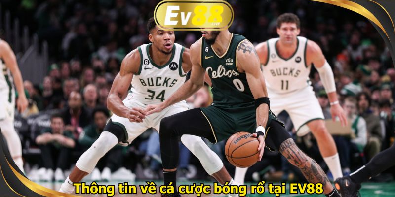Thông tin về cá cược bóng rổ tại EV88