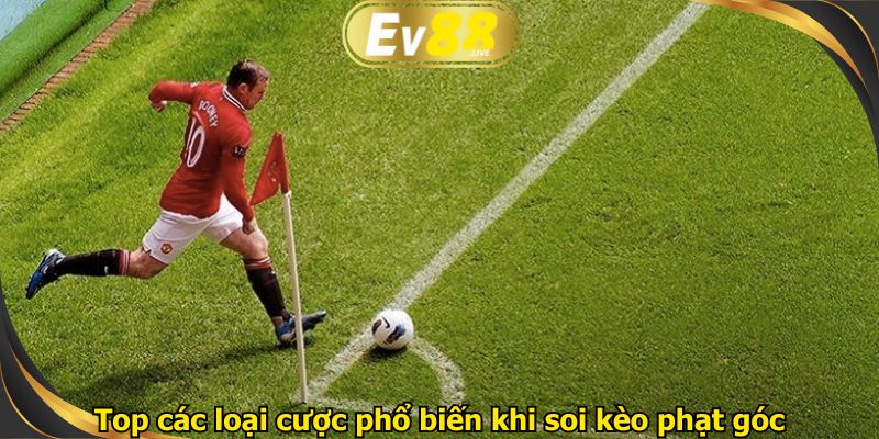 Top các loại cược phổ biến khi soi kèo phạt góc